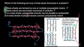 Parallel vs antiparallel beta-sheets