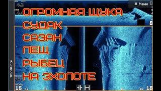 разбор скриншотов эхолота, как выглядит рыба и как по ней выставиться