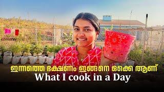 what I cook in a day | daily vlog| family vlog| #lifeofarunsumi