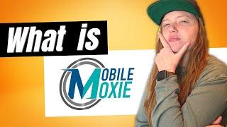 What is the MobileMoxie Toolset? (SEO Tools)