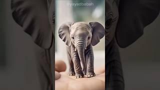 "Megical fantasy Elephant" Yayad Babah #cute #shorts #trending #viralvideo #funny #animals