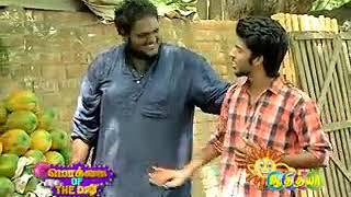 Mokkai of the day |Tamil TV show|Tamil comedy status(37)