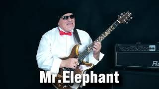 Mr.Elephant