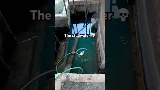 Finding the stillest of water  #abandoned #urbex #abandonedplaces