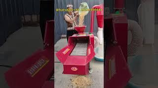 Multifunctional haying and kneading machine with dust bucket, haying, kneading and crushing