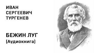 Иван Тургенев Бежин луг Аудиокнита Слушать Онлайн