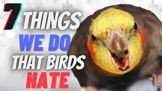 7 Things we do that our birds hate