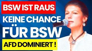 BSW AM ENDE – AFD DOMINIERT DIE LANDTAGSWAHLEN! WAGENKNECHTS BSW AM ABGRUND! KEINE CHANCE FÜR BSW