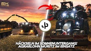 800HA GPS chopping at Agrarlohn Müritz! Jaguar 990 & Fendt! || JP Agriculture