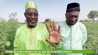 Visite de Dioro Madou sur le site de la société Diazon