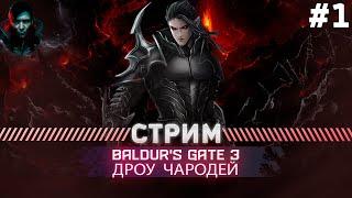 Baldur's Gate 3  ПРОХОЖДЕНИЕ ТАКТИКА | АБСОЛЮТНОЕ ЗЛО | #1