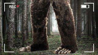 FINDING BIGFOOT 2.0!! (Finding Bigfoot Game)