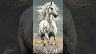 SHADOWFAX: LORD OF ALL HORSES || LOTR