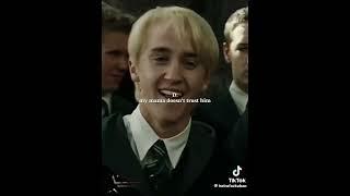 the slytherins has found Y/ns diary