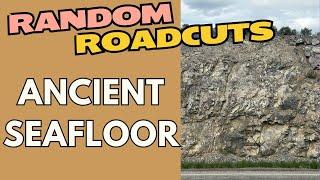 Random Roadcuts #35: Utah's Ancient Seafloor Revealed