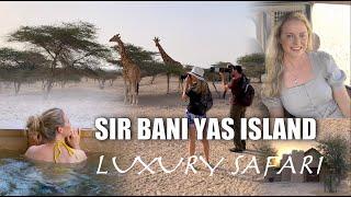 Sir Bani Yas Island: Luxury Safari in the Middle East! United Arab Emirates (UAE)