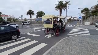 United Kingdom Horse cart  ride