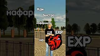 как быстро нафармить уровень на Black Russia #blackrussia
