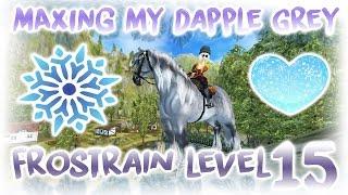 MAXING my SHIRE FrostRain Star Stable