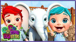 Welcome to the Zoo Song | More Kids Songs | Coco Super Luca little #childrensongs