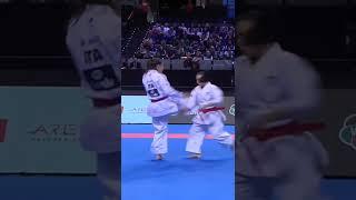 karate kata Bunkai
