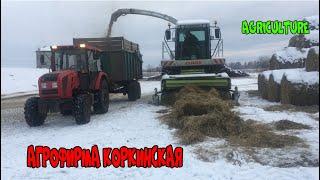 Claas Jaguar 830 /like this /what is he doing /winter january