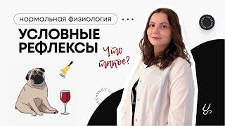 Нормальная физиология | Что такое условный рефлекс?