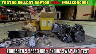 (E12) Zongshen 5 speed 190cc engine swap + test ride HELLCOUGAR TaoTao Hellcat Raptor 190cc