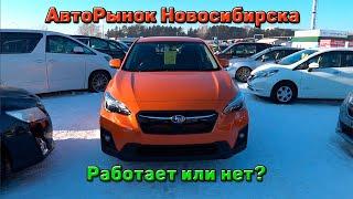 Авторынок Новосибирска Столица / работает или нет? / Безпробежные авто / пробежные / спецтехника