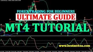 MetaTrader4 - The Complete Guide to MT4 - Forex Trading for Beginners | What is forex trading?