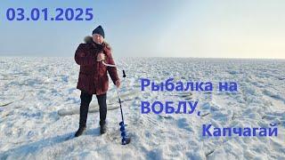 Рыбалка на ВОБЛУ.КАПЧАГАЙ. 03.01.2025