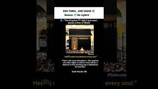 Fajr prayerIn the peaceful moments before dawn, two choices arise: one person may go back to sleep,