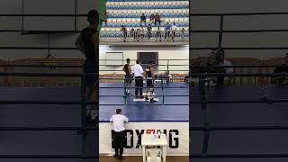 IMG 7518