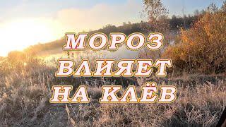 Мороз влияет на клёв! Высокое давление на большую рыбу!