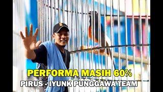 PERFORMA MASIH 60%  MURAI PETARUNG ASAL KOTA LAMONGAN. PIRUS - IYUNK PUNGGAWA TEAM.