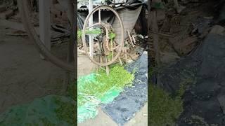 gavkmati#pashupatinath #shortvideos