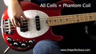 Music Man StingRay HS w/ Maple Fingerboard Demo - The Perfect Bass