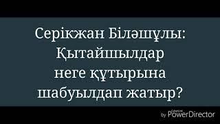 Серікжан Біләшұлы: Қытайшылдар неге құтырына шабуылдап жатыр?