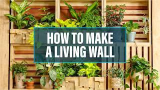 How to Make a Living Wall