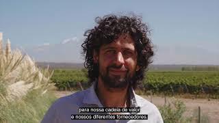 The Andes Wines. Andrés Valero, sustentabilidade. Argento vinícola.