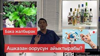 Бака жалбырак, спирт жана БАД кошулмалары ашказан оорусун айыктырабы?