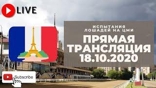 18.10.2020. Прямая трансляция с ЦМИ. XXII Дни Франции.