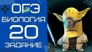 ОГЭ Биология 2020. Задание 20 Рохлов