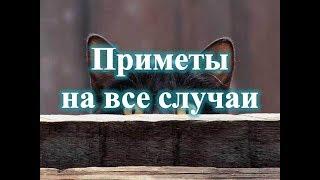 Приметы на все случаи