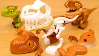 T.REX & Dinosaurs Skeleton plastic model  -Stopmotion build-