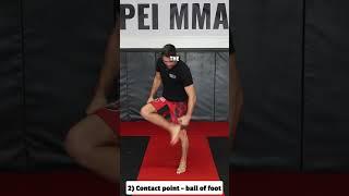 How to throw a Front Kick | MMA | MUAY THAI