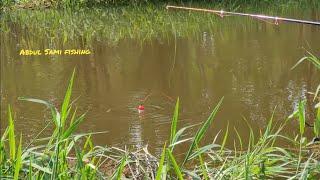 Hook Fishing|How Catching The Tilapia Fishes In Small Hook Gal|Village Fishing|Tilapia Fishing