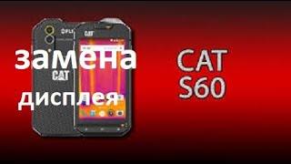 cat s60 | разборка| замена дисплея