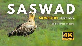 Saswad Safari | Monsoon Wildlife Wonders | Wildlife Documentary | 4K UHD | Ep 1