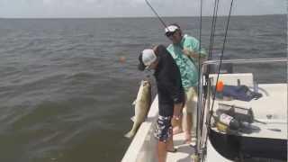 Wade Catches a Huge Bull Red with Jeff Kriet